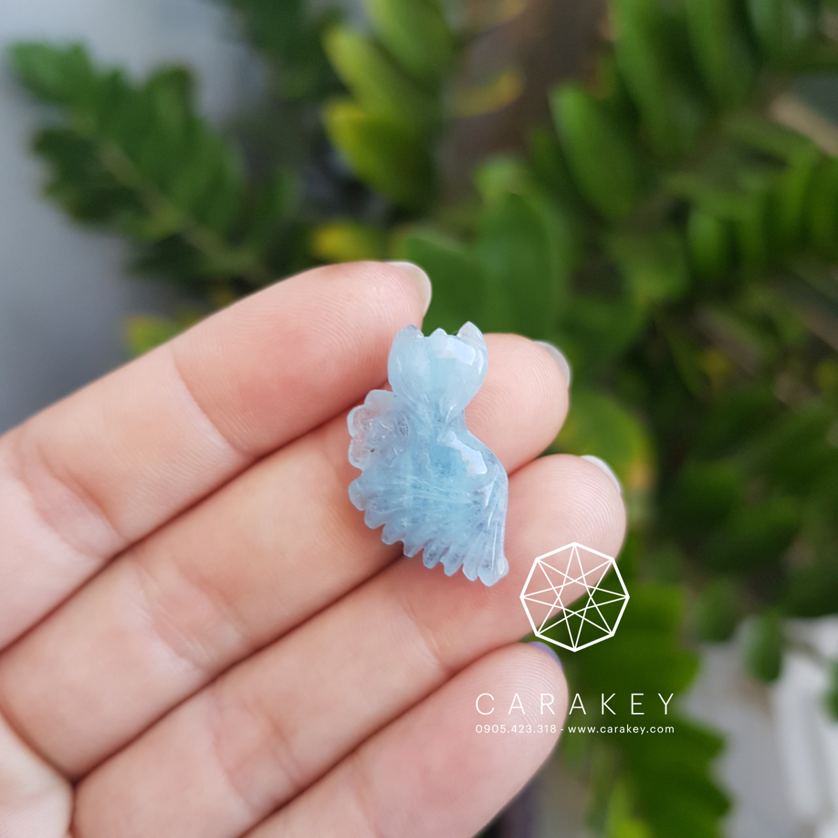 Hồ ly thạch anh aquamarine