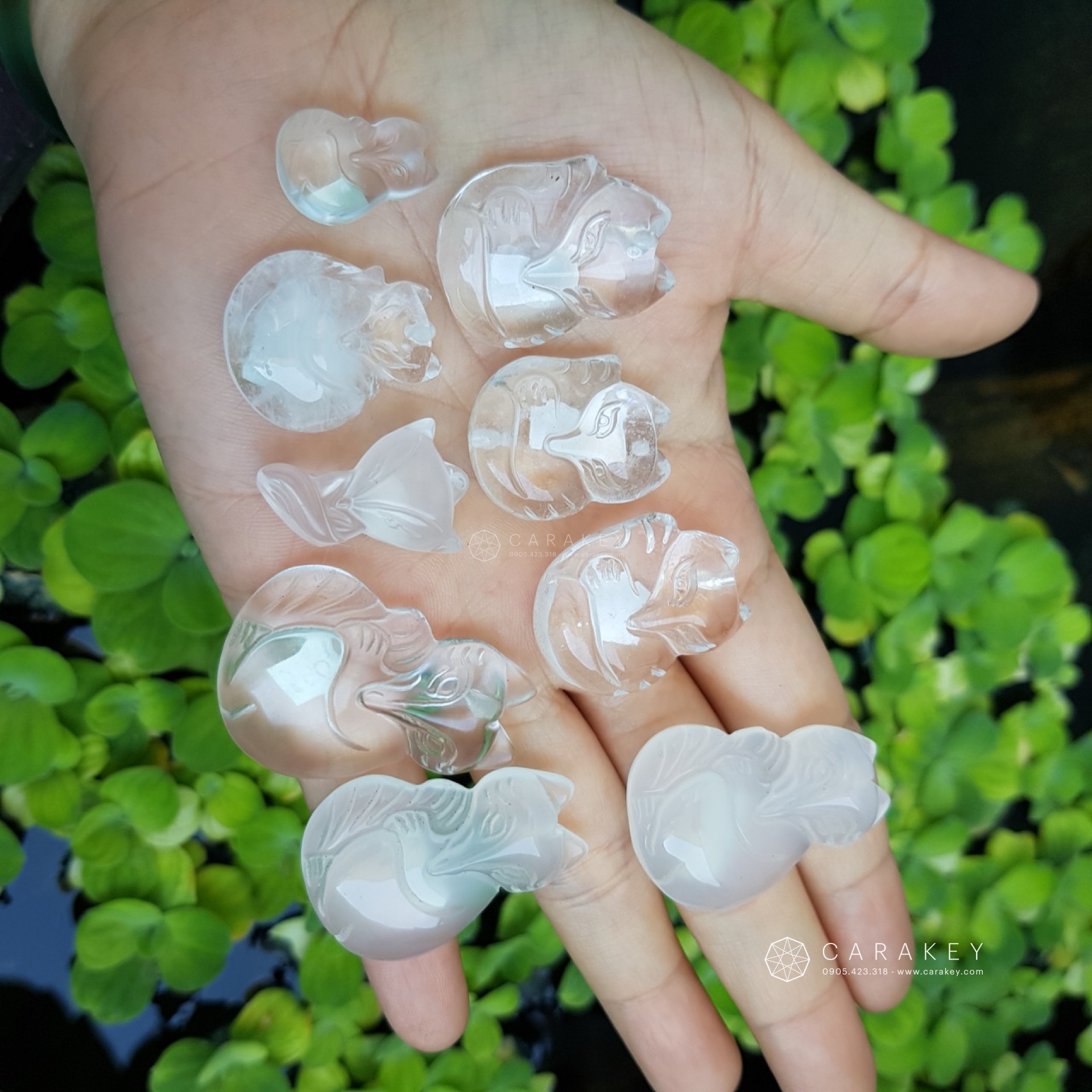 Hồ ly thạch anh trắng,