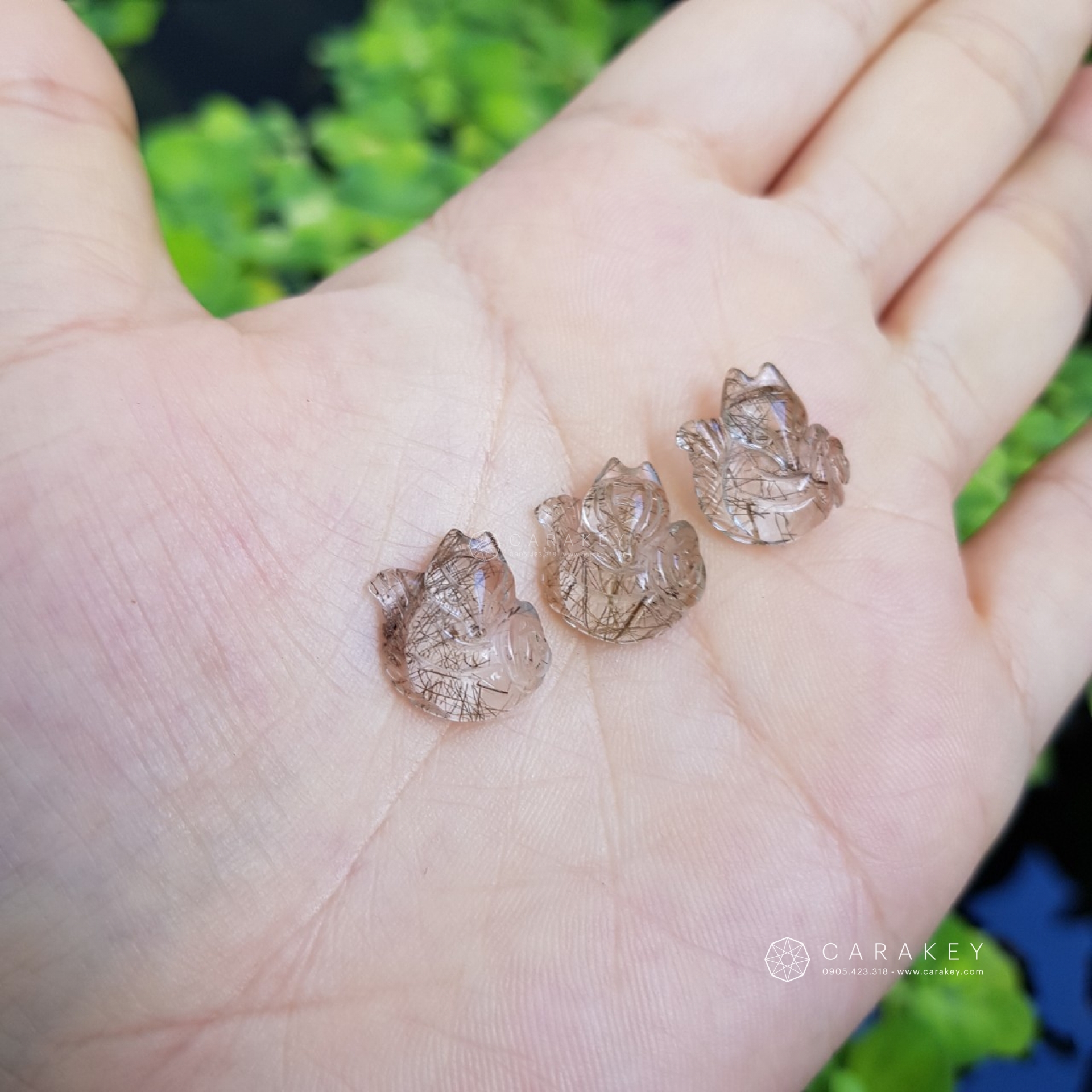 Hồ ly thạch anh tóc,