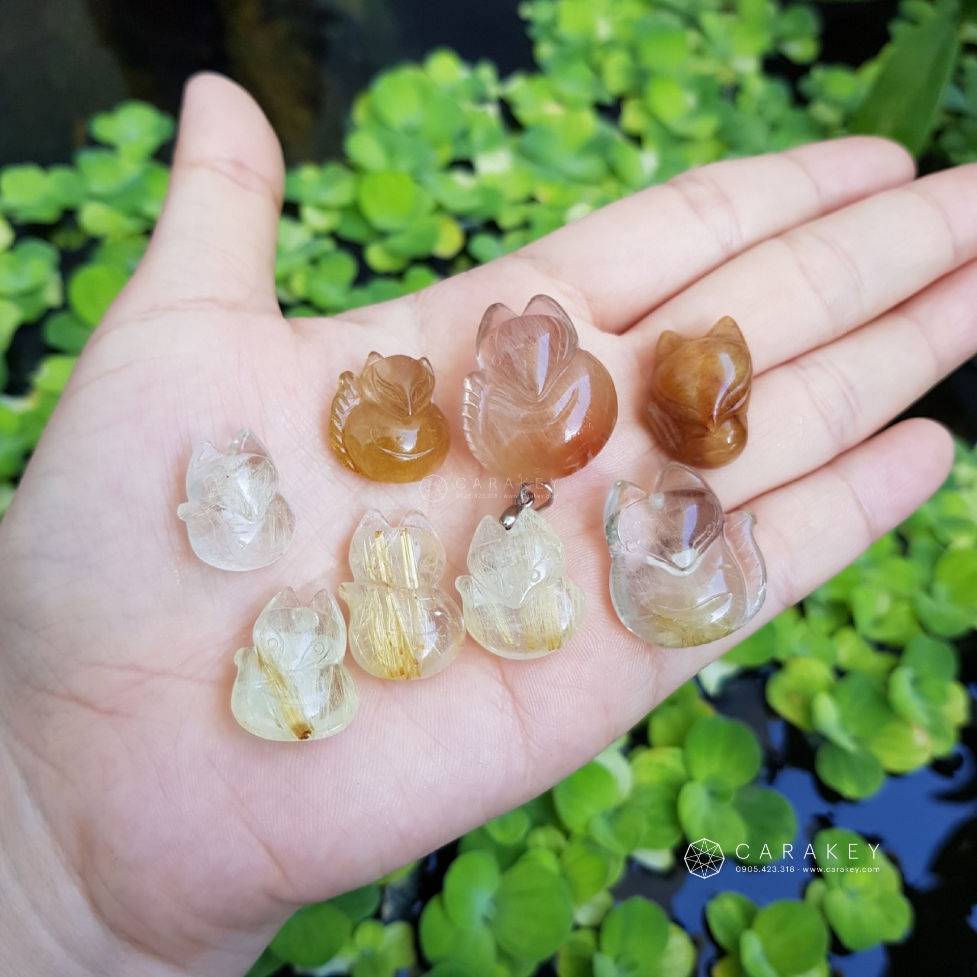 Hồ ly thạch anh tóc,