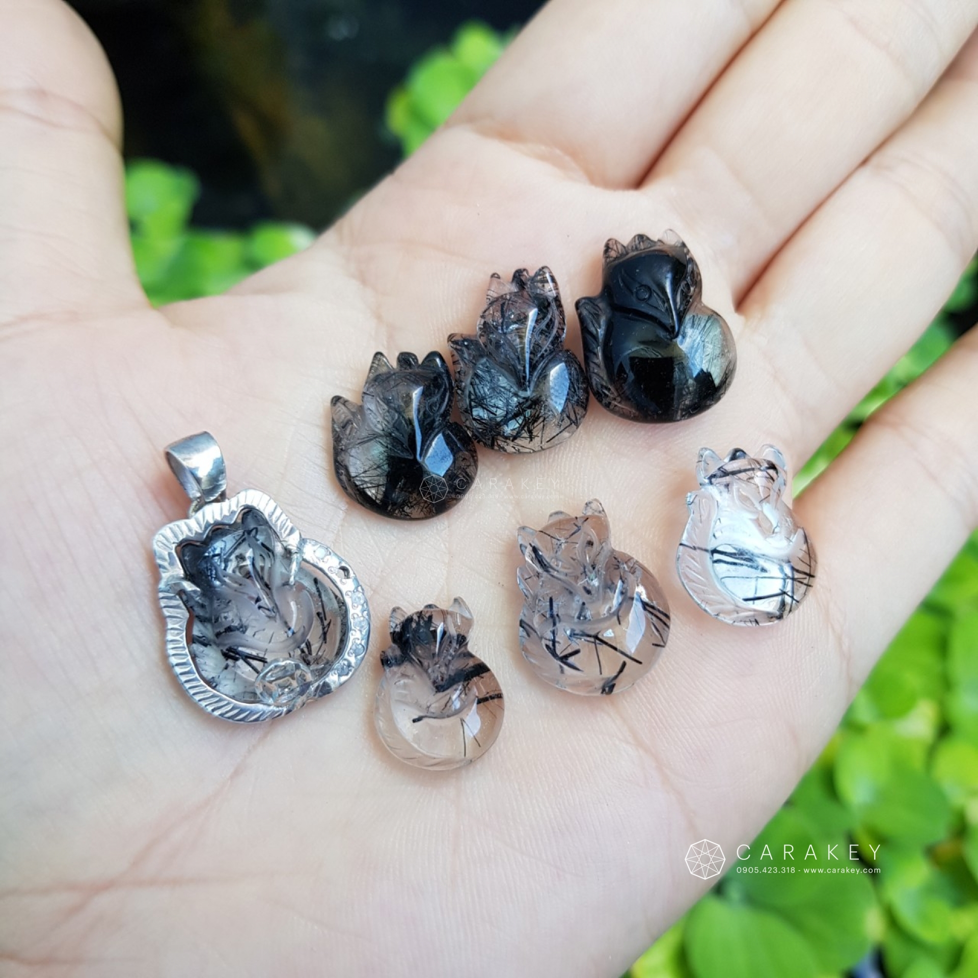 Hồ ly thạch anh tóc,