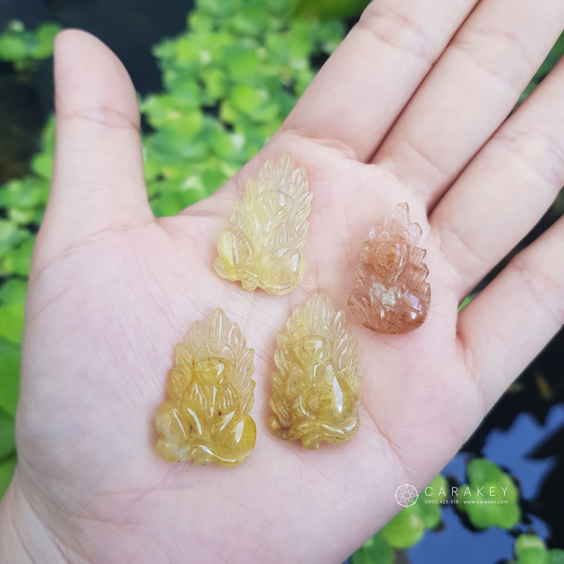 Hồ ly thạch anh tóc,