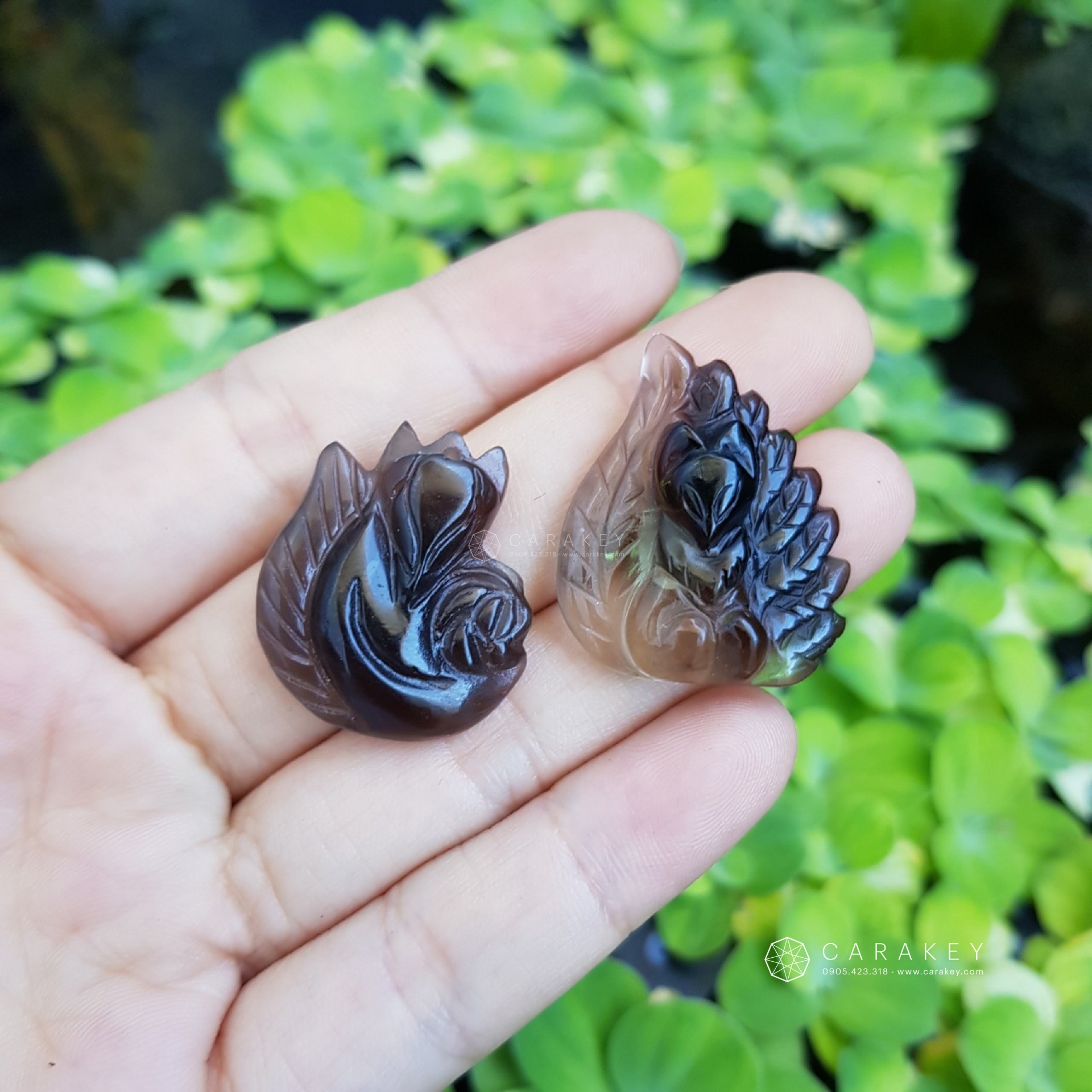 Hồ ly thạch anh đen,