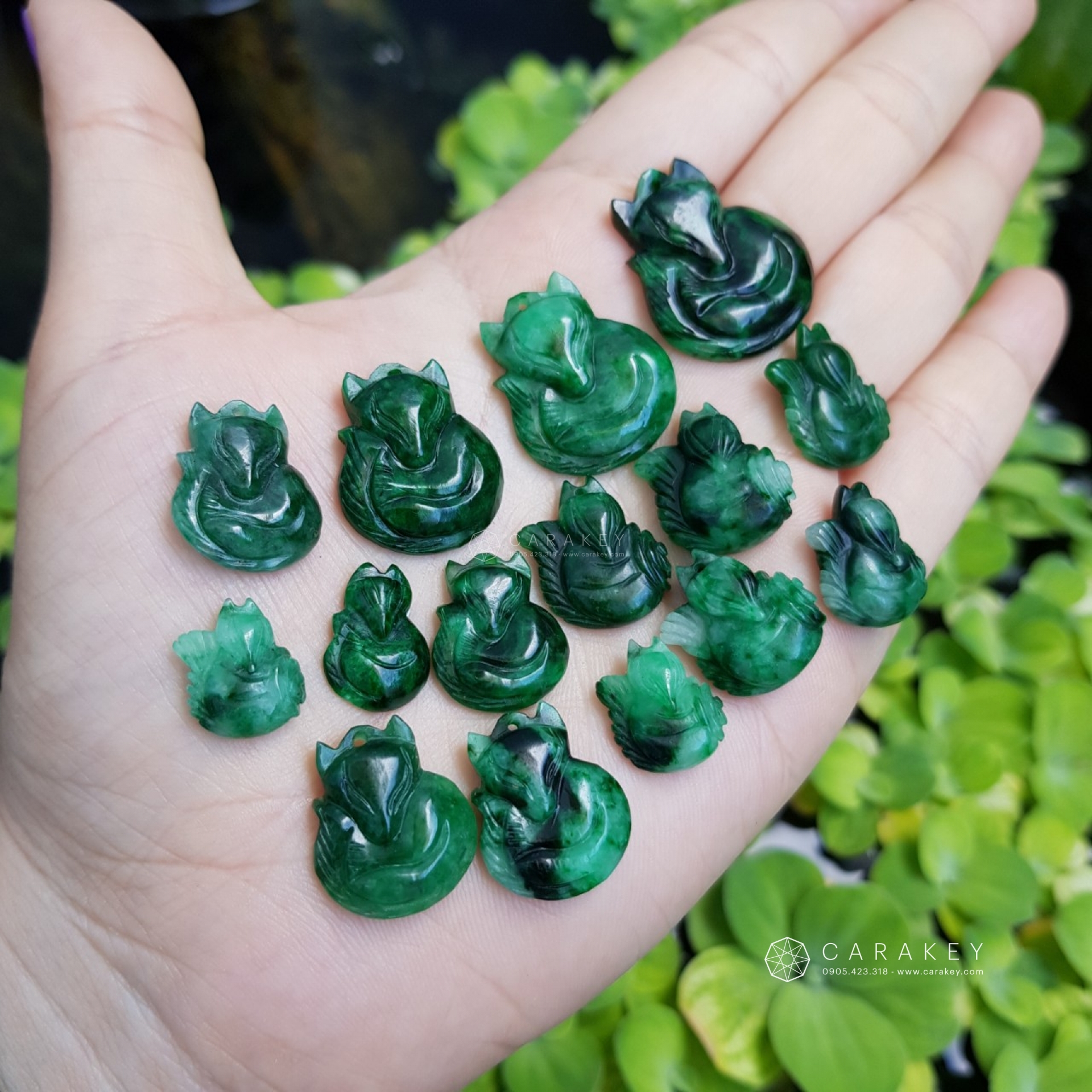 Hồ ly xanh ngọc,