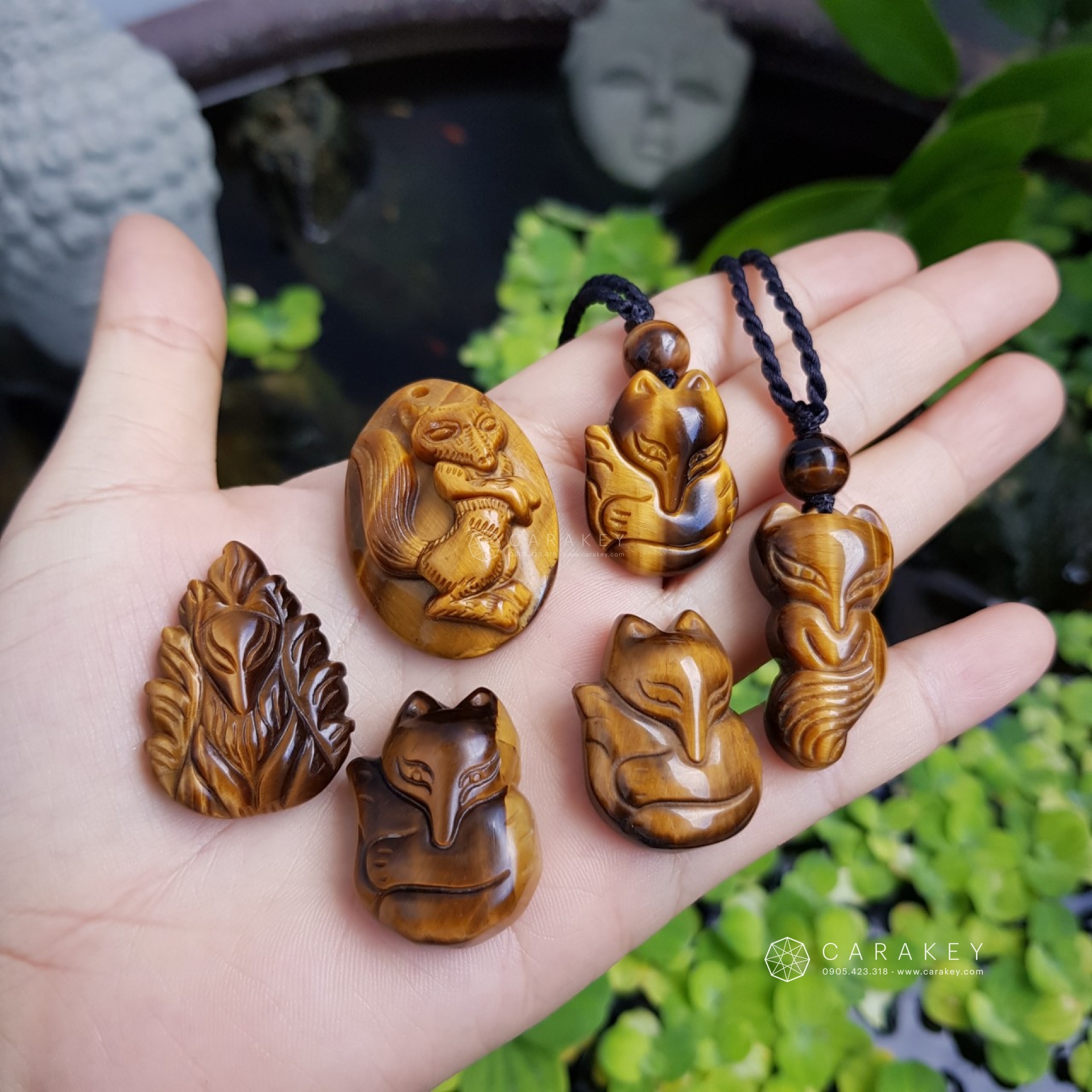 Hồ ly đá mắt hổ,