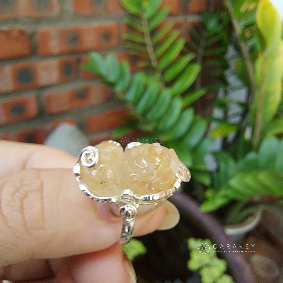 Tỳ hưu tóc vàng bọc bạc,